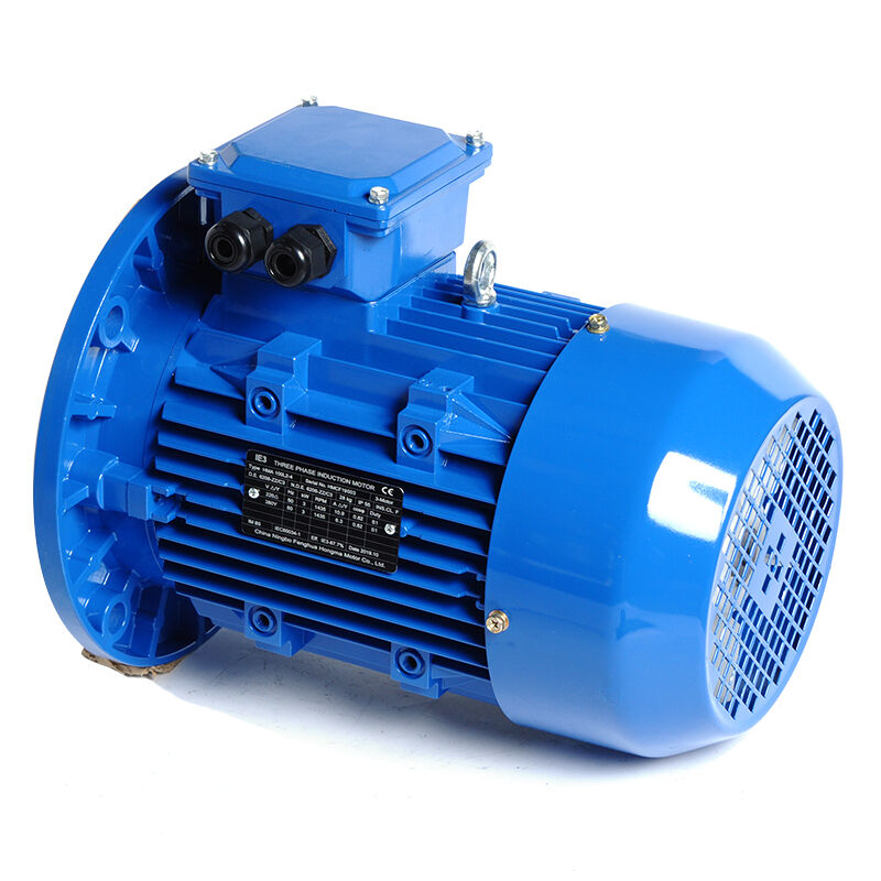 HM3-100L2-4-3KW/4HP-B5