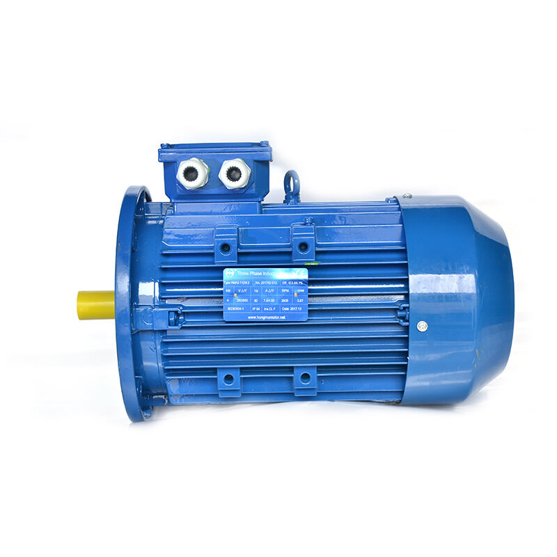 Premium Effizienz Asynchron-Elektromotor