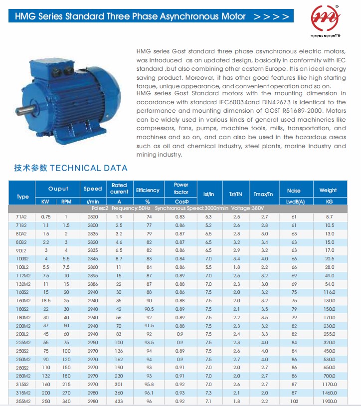Russian IM1081 IM2081 3 Phase Three-Phase Y2 Electric Motor Cast Iron Body 4KW 380V Volta for Equipment GOST Standard ANP Motor details