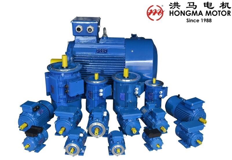 Y2 Series IE1 Standard Small 2 Poles Three Phase Asynchronous Electric Motor 0.55kw details