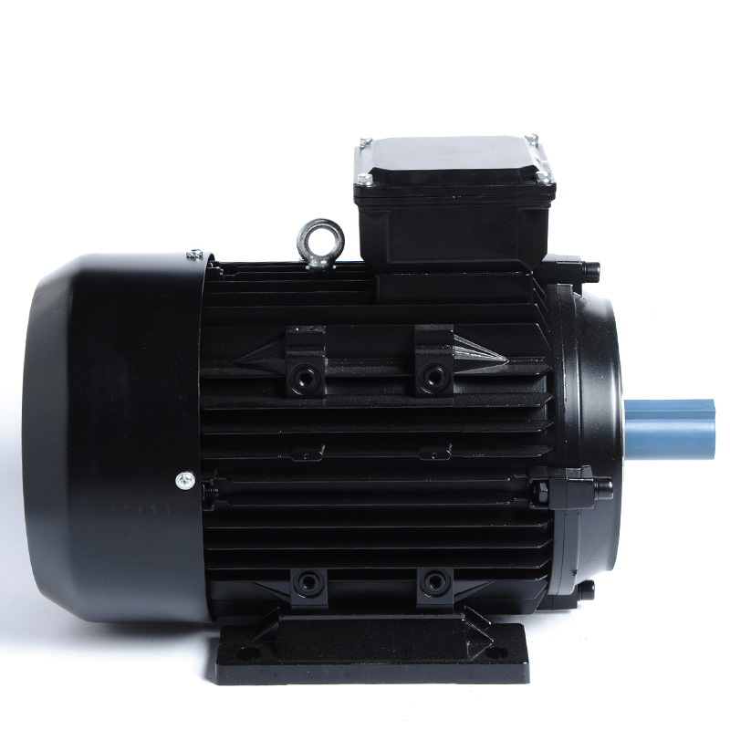 YE3-112M-6 2.2KW 6-Pol 3PS 50HZ 60HZ 110V 220V 380-420V 440V-480V Drehstrom-Asynchroner AC-Elektroinduktionsmotor Fabrik