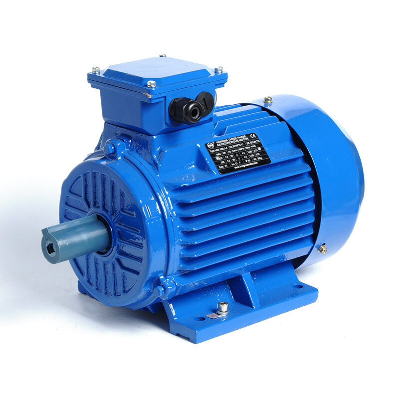 HM3-100L1-4-2.2KW/3HP-B3