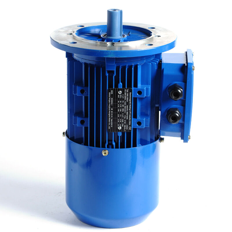 HMEJ-90L-4-1.5KW/2HP-B5