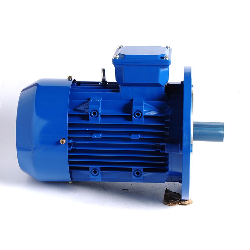 HM1-100L-2P-3KW/4HP-B5