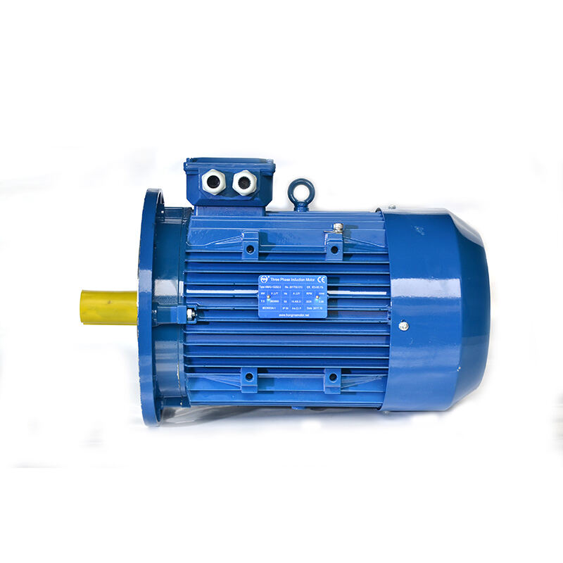 Premium Efficiency Asynchronous Electric Motor