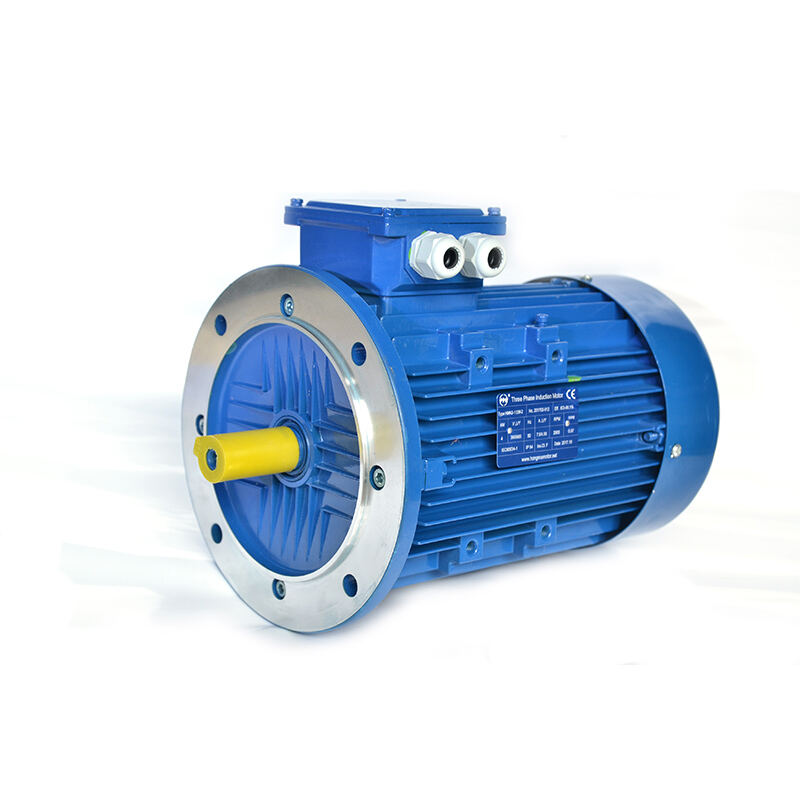 Premium Efficiency Asynchronous Electric Motor
