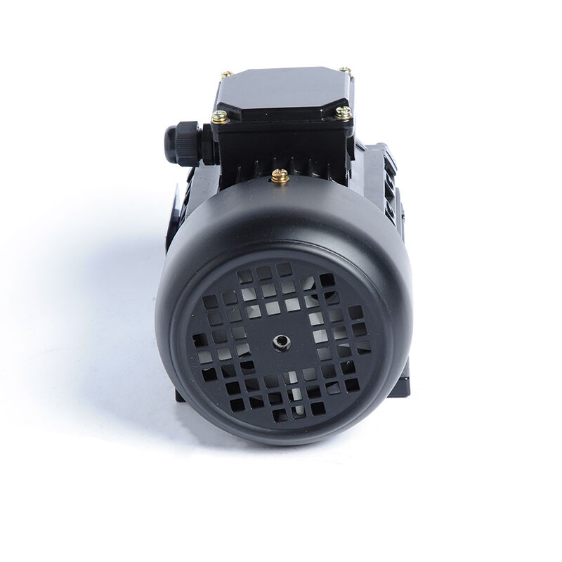HM1-100L-6P-1.5KW/2HP-B34
