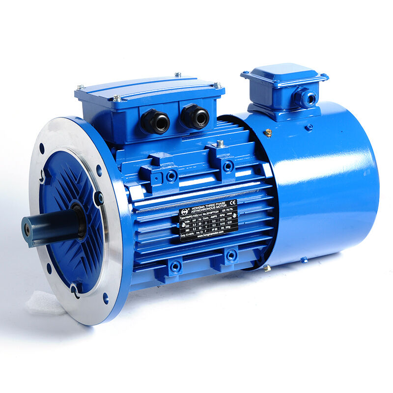 HMVP-100L1-4-2.2KW/3HP-B5