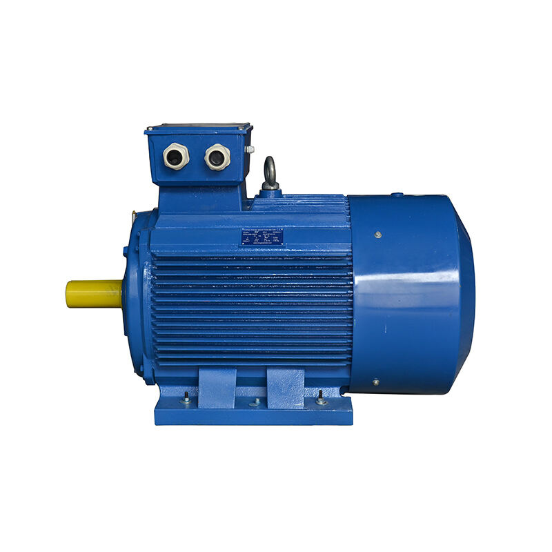 Super Premium Efficiency Asynchronous Electric Motor