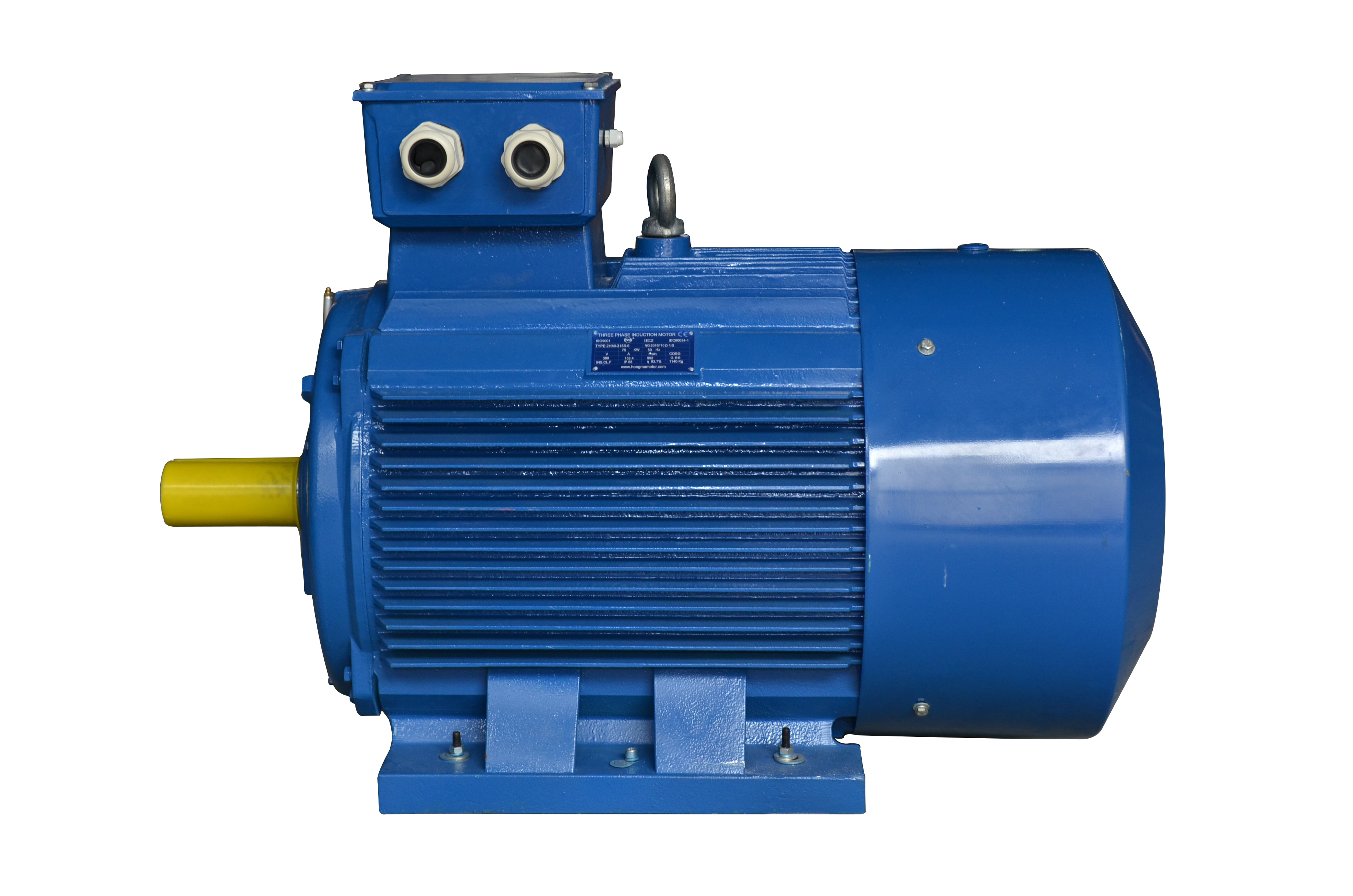5hp 4kw Single Phase Electric Motors 3hp Single Phase Asynchronous Electric Motor Price 220V YL YC YCL manufacture