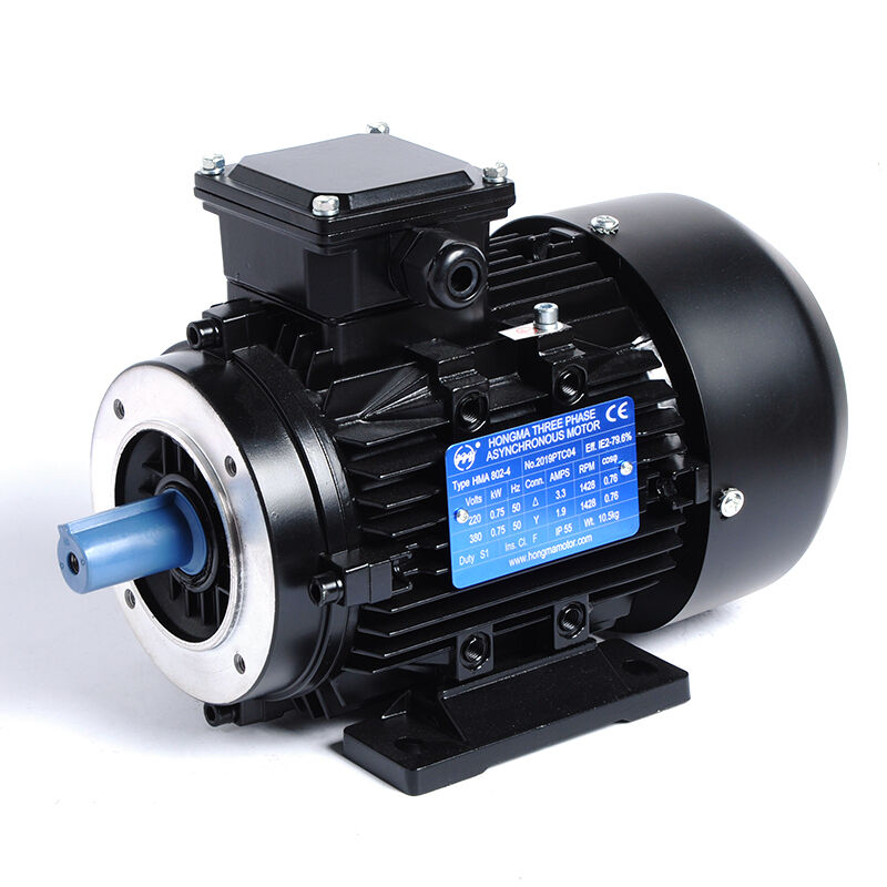 HM3-80M2-4P-0.75KW/1HP-B34