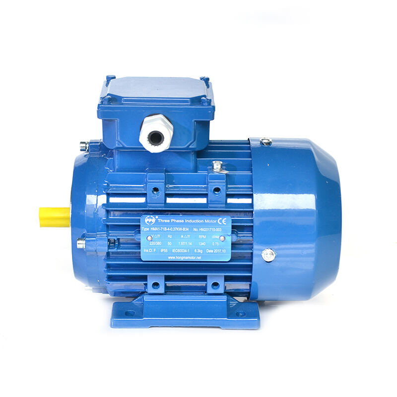 Standard Efficiency Asynchronous Electric Motor