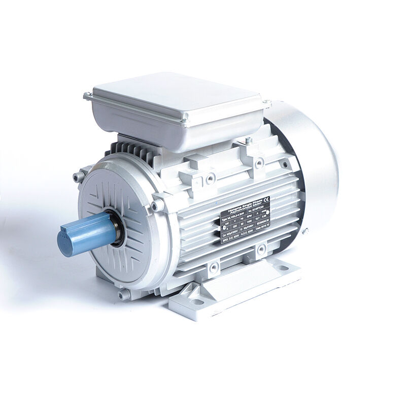 HML-100L2-4-3KW/4HP-B3