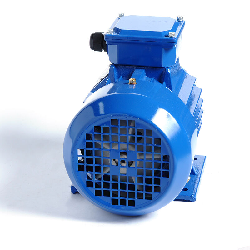 HM1-112M-6P-2.2KW/3HP-B3