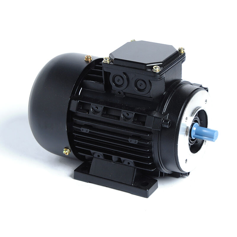 HM1-100L-6P-1.5KW/2HP-B34