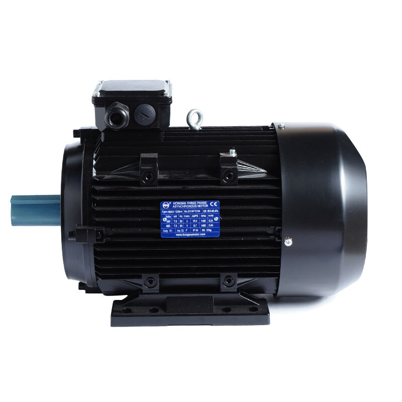 Super Premium Efficiency Asynchronous Electric Motor