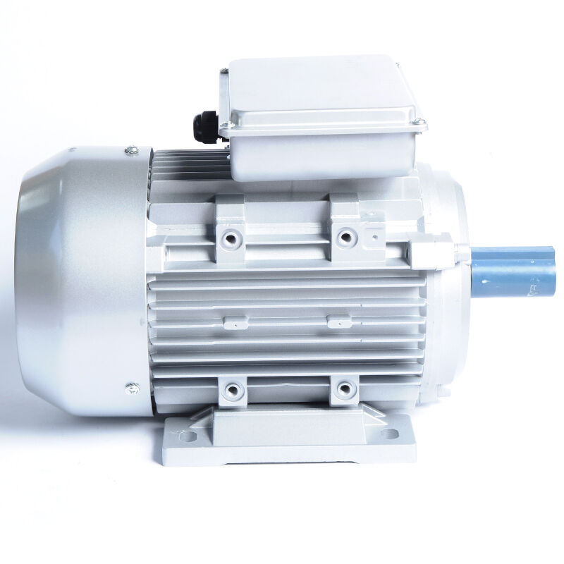 HML-100L1-4-2.2KW/3HP-B3