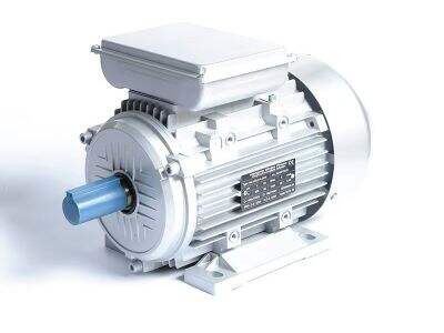 The Role of an Asynchronous Electric Motor in Modern Pumping Systems