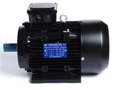 Maintenance Checklist for a 24-7 Duty asynchronous electric motor
