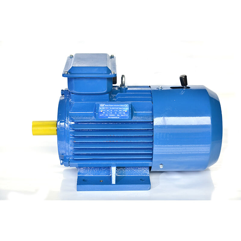 Sourcing a competitive asynchronous electric motor for large scale projects