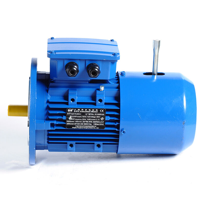 The Strategic Value of a Premium three-phase electric motor Supplier