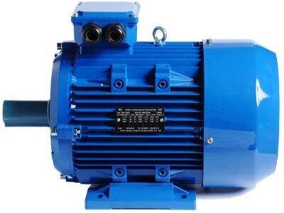 The impact of voltage unbalance on three-phase electric motor performance
