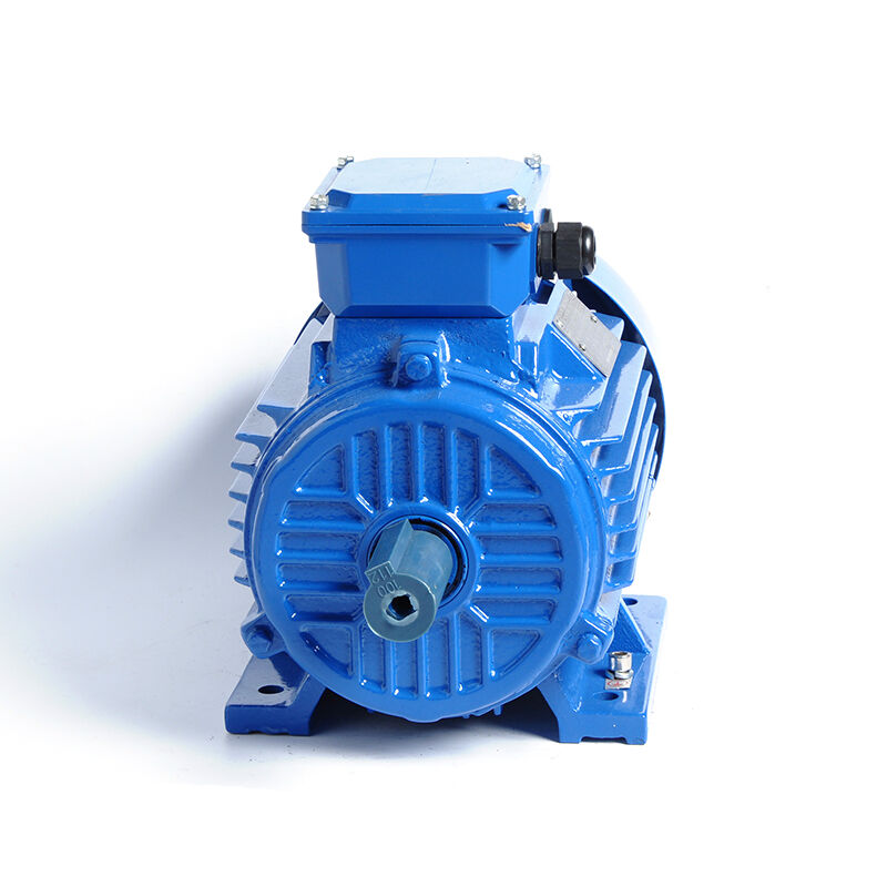 HM1-100L1-4-2.2KW/3HP-B3