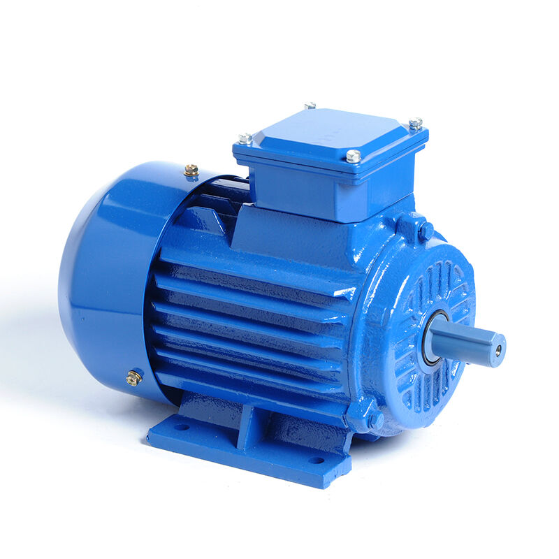 HM1-112M-6P-2.2KW/3HP-B3