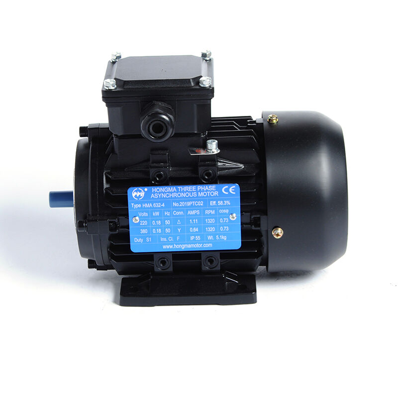 Standard Efficiency Asynchronous Electric Motor