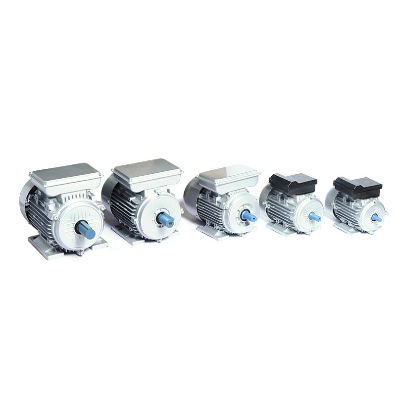 HML-100L1-4-2.2KW/3HP-B3