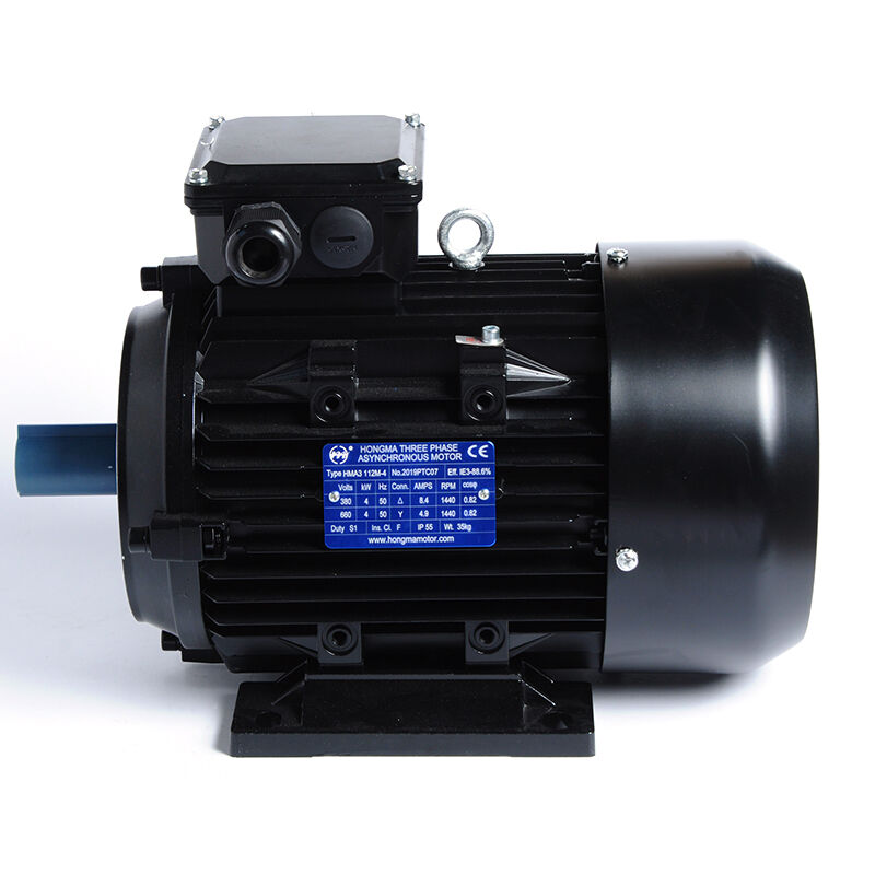 Premium Efficiency Asynchronous Electric Motor