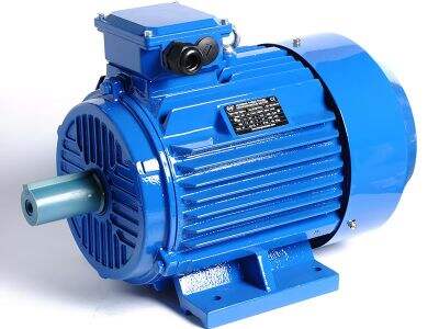 The Importance of IP Ratings for Asynchronous Electric Motors in Harsh Environments
