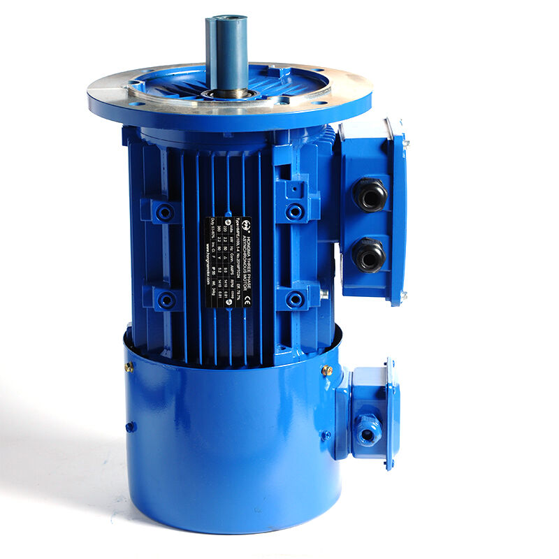 HMVP-100L1-4-2.2KW/3HP-B5