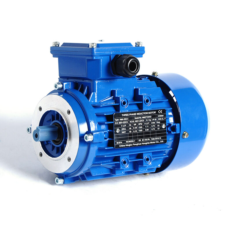 High Efficiency Asynchronous Electric Motor