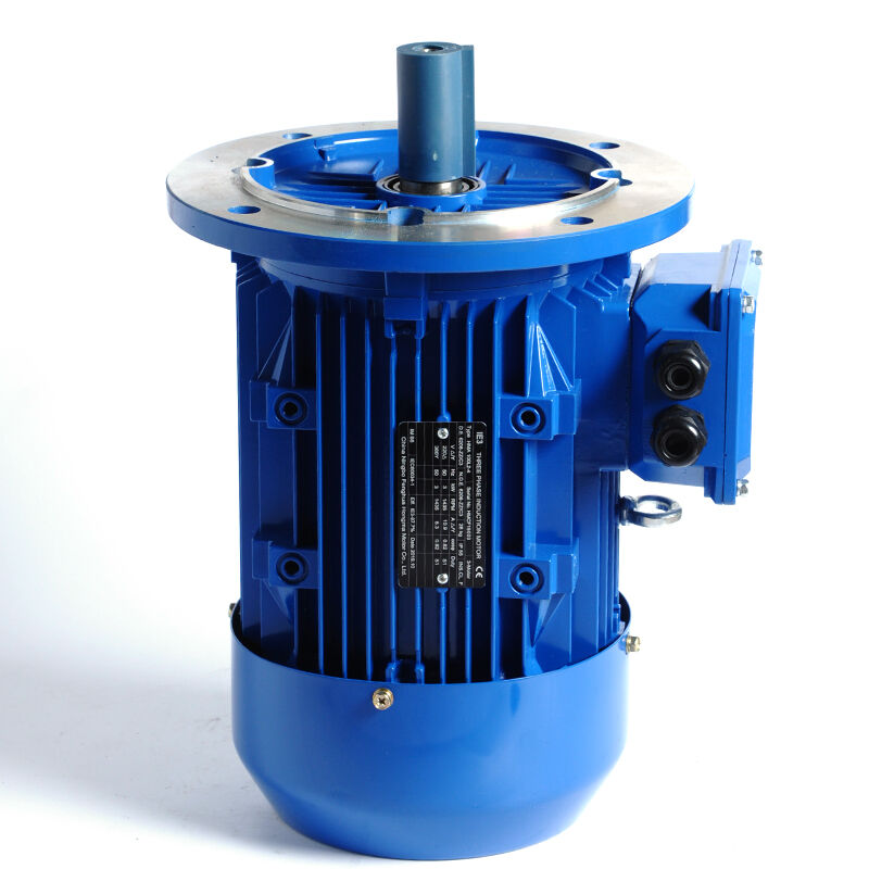 HM2-90S-2P-1.5KW/2HP-B5