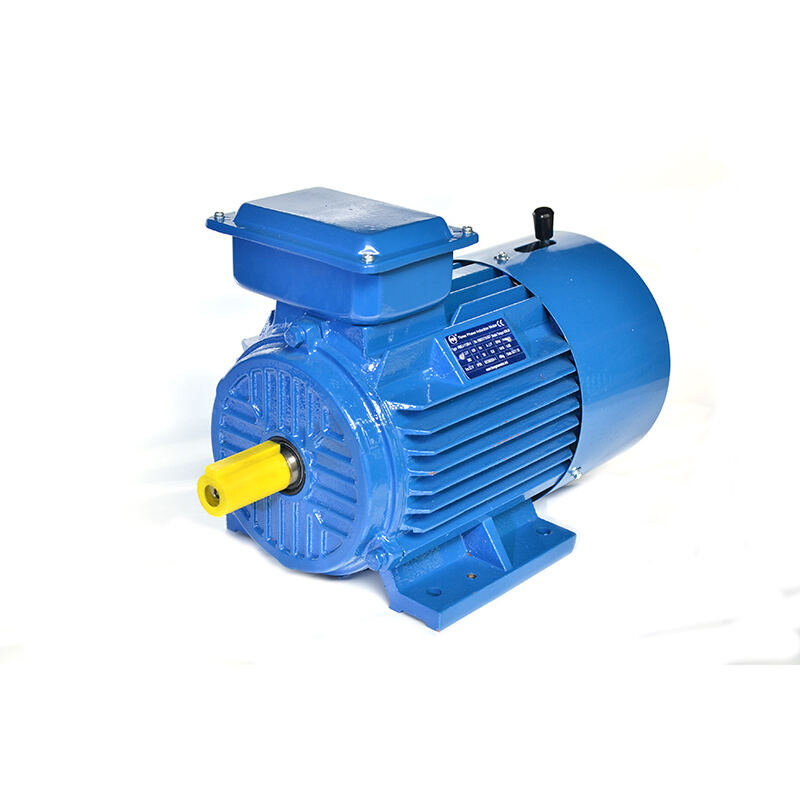Electromagnetic Braking Three Phase Asynchronous Motor