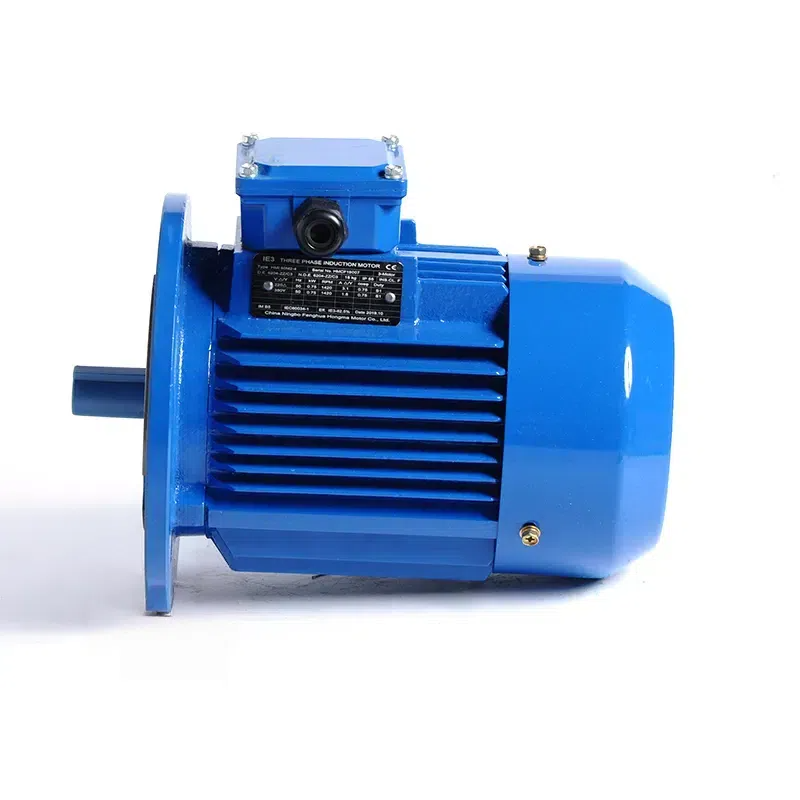 Standard Efficiency Asynchronous Electric Motor