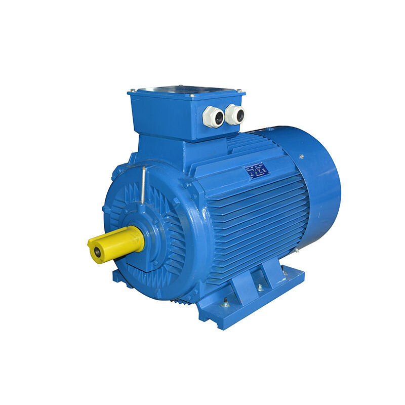 Super Premium Efficiency Asynchronous Electric Motor