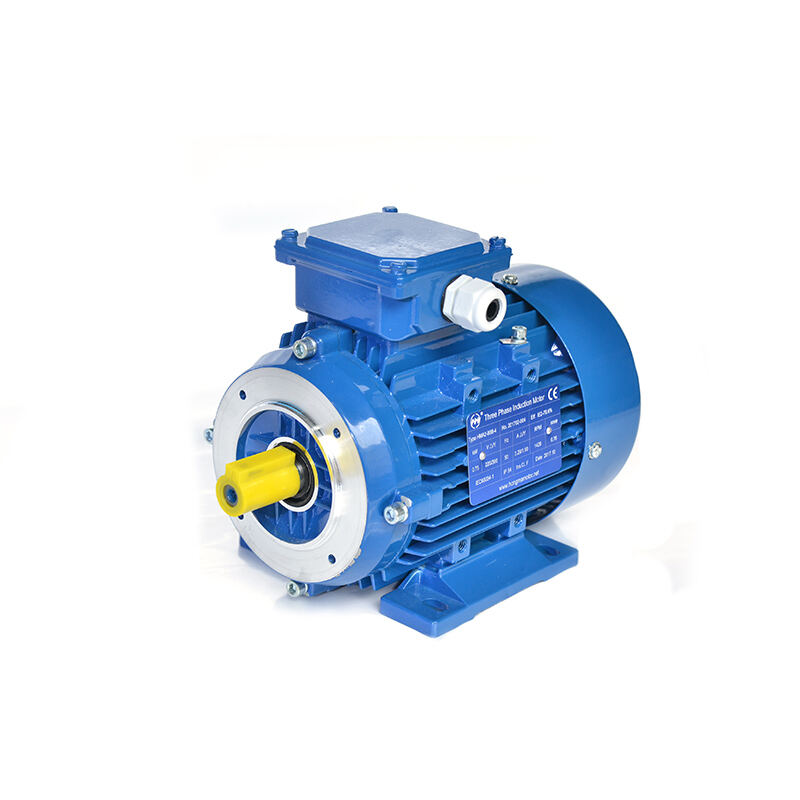 High Efficiency Asynchronous Electric Motor