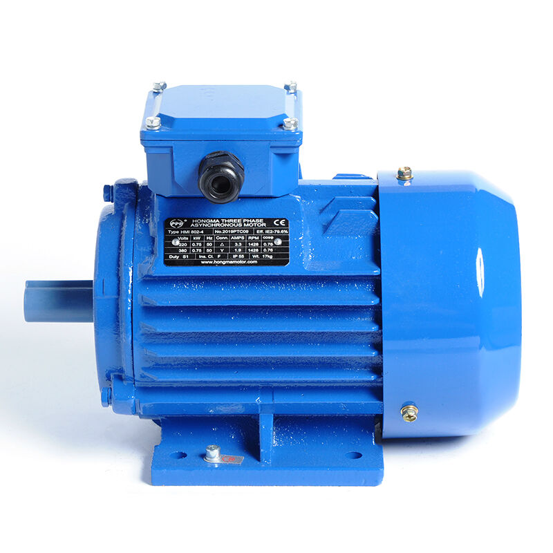 Standard Efficiency Asynchronous Electric Motor