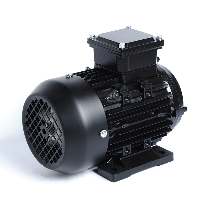 YE3-112M-6 2.2KW 6-pole 3HP 50HZ 60HZ 110V 220V 380-420V 440V-480V Three-phase Asynchronous Ac Electric Induction Motor Factory