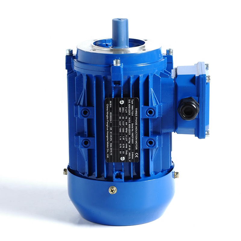 Y2 Series IE1 Standard Small 2 Poles Three Phase Asynchronous Electric Motor 0.55kw