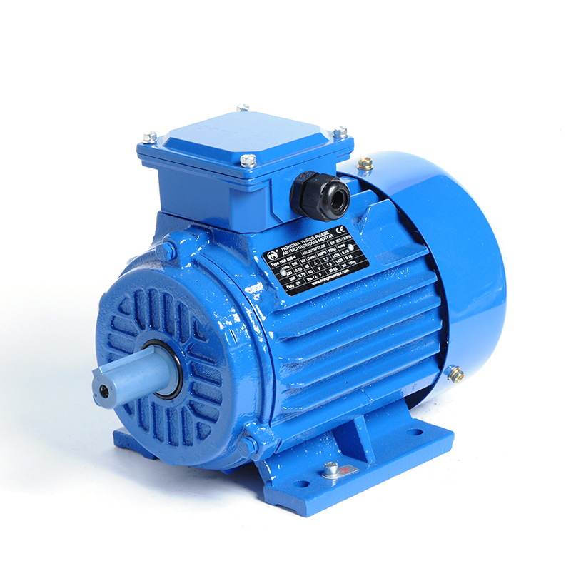 Y160M1-2 11KW 15HP 380V 400V 3000RPM Ac 3 Three Phase Induction Electric Motor 11 kw 15 hp 380 400 v Volt 3000 Rpm