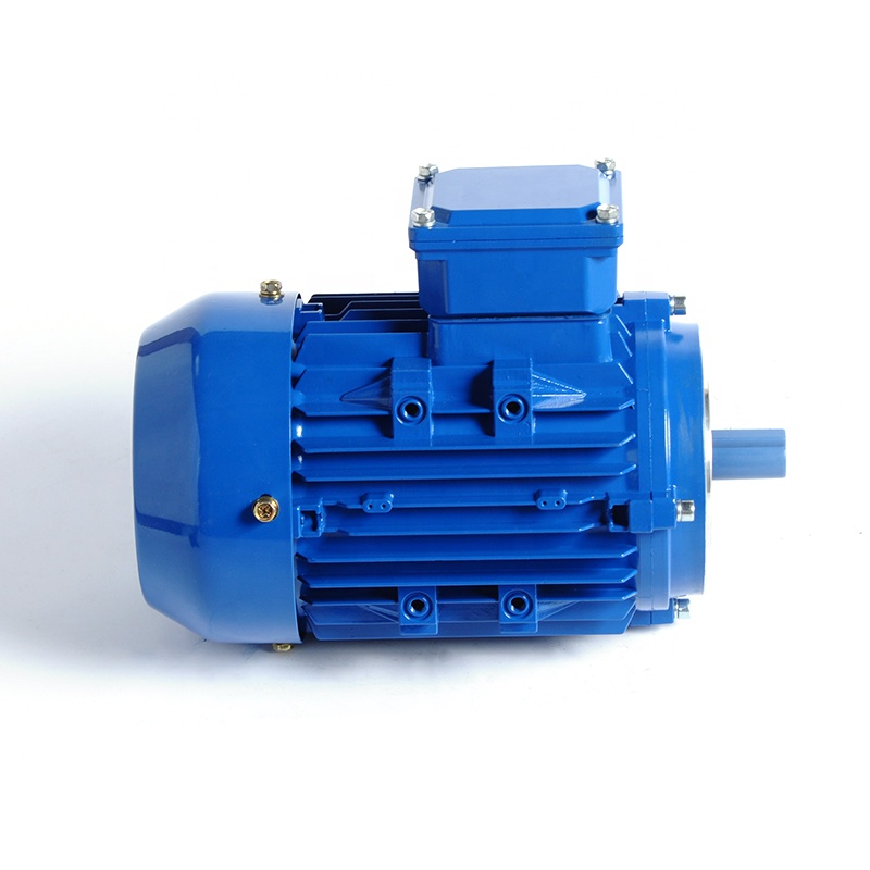 Y2 Series IE1 Standard Small 2 Poles Three Phase Asynchronous Electric Motor 0.55kw