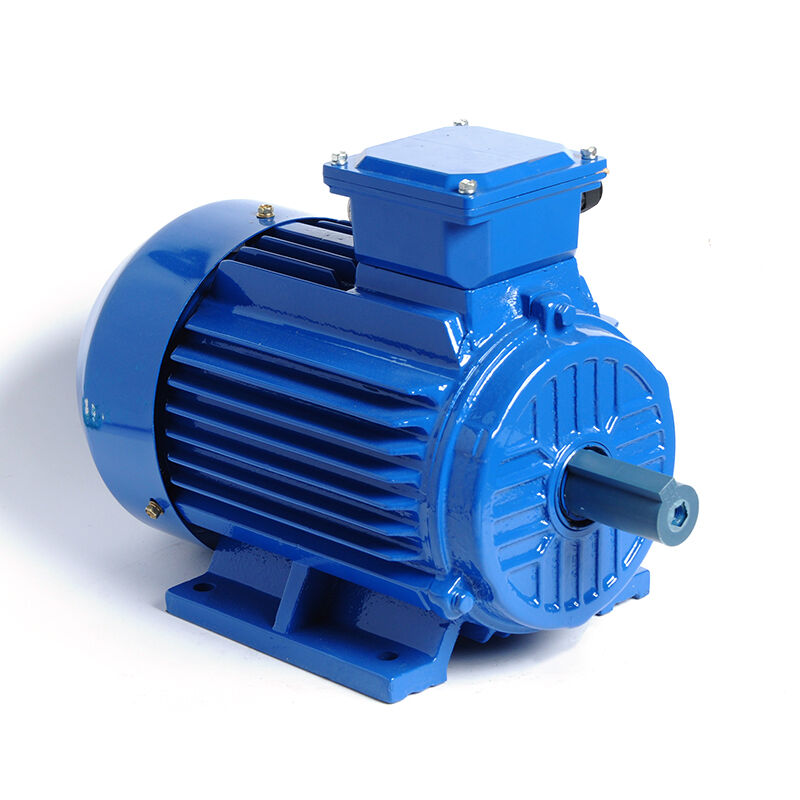 The OEM's Guide to Integrating Our Asynchronous Electric Motor Designs