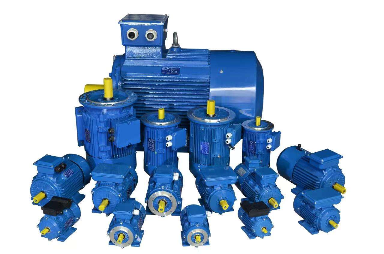5hp 4kw Single Phase Electric Motors 3hp Single Phase Asynchronous Electric Motor Price 220V YL YC YCL factory