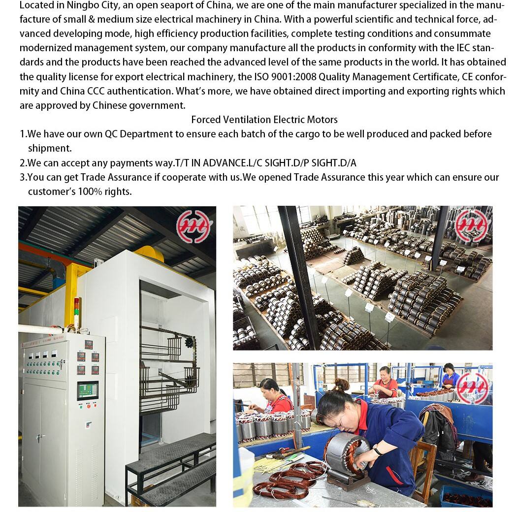 5hp 4kw Single Phase Electric Motors 3hp Single Phase Asynchronous Electric Motor Price 220V YL YC YCL manufacture
