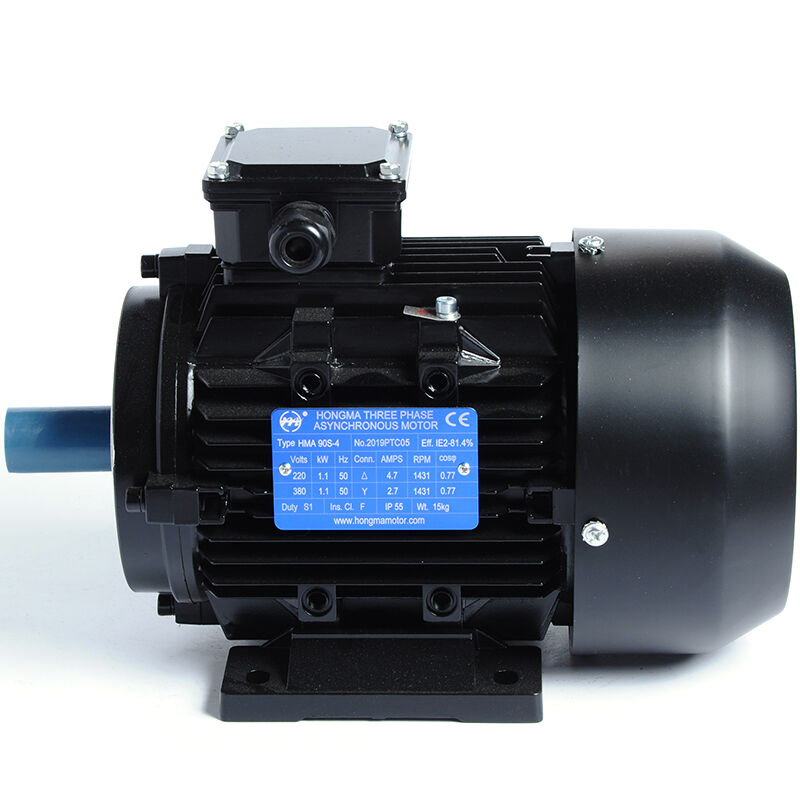 고효율 비동기 전기 모터