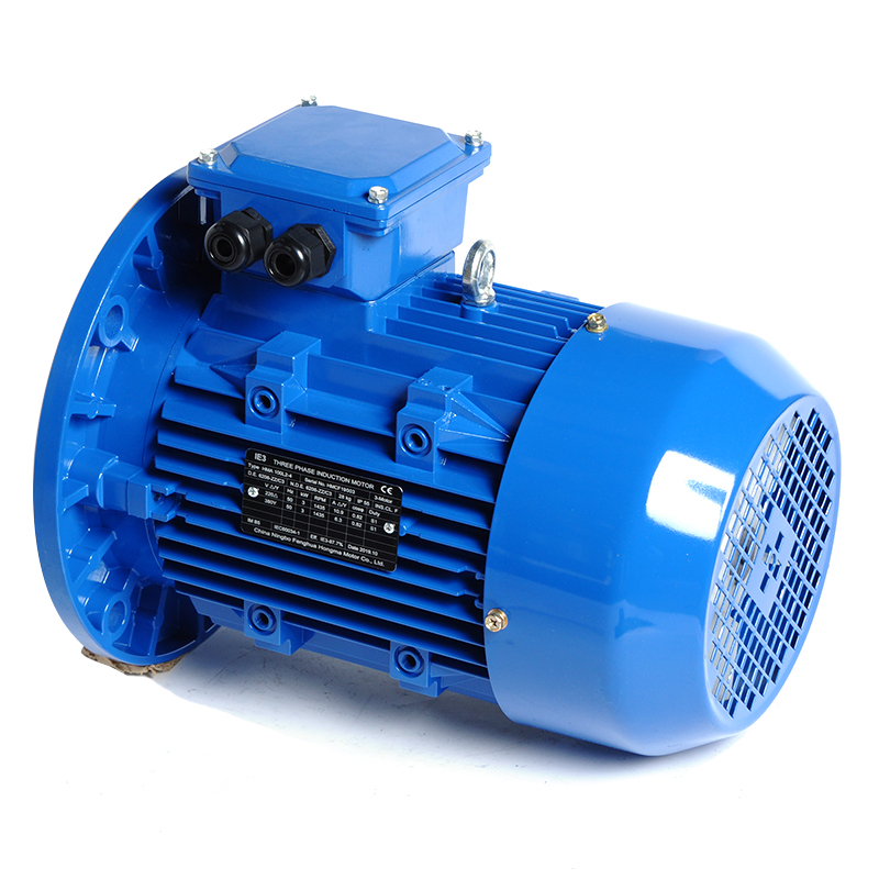 HM3-100L2-4-3KW/4HP-B5