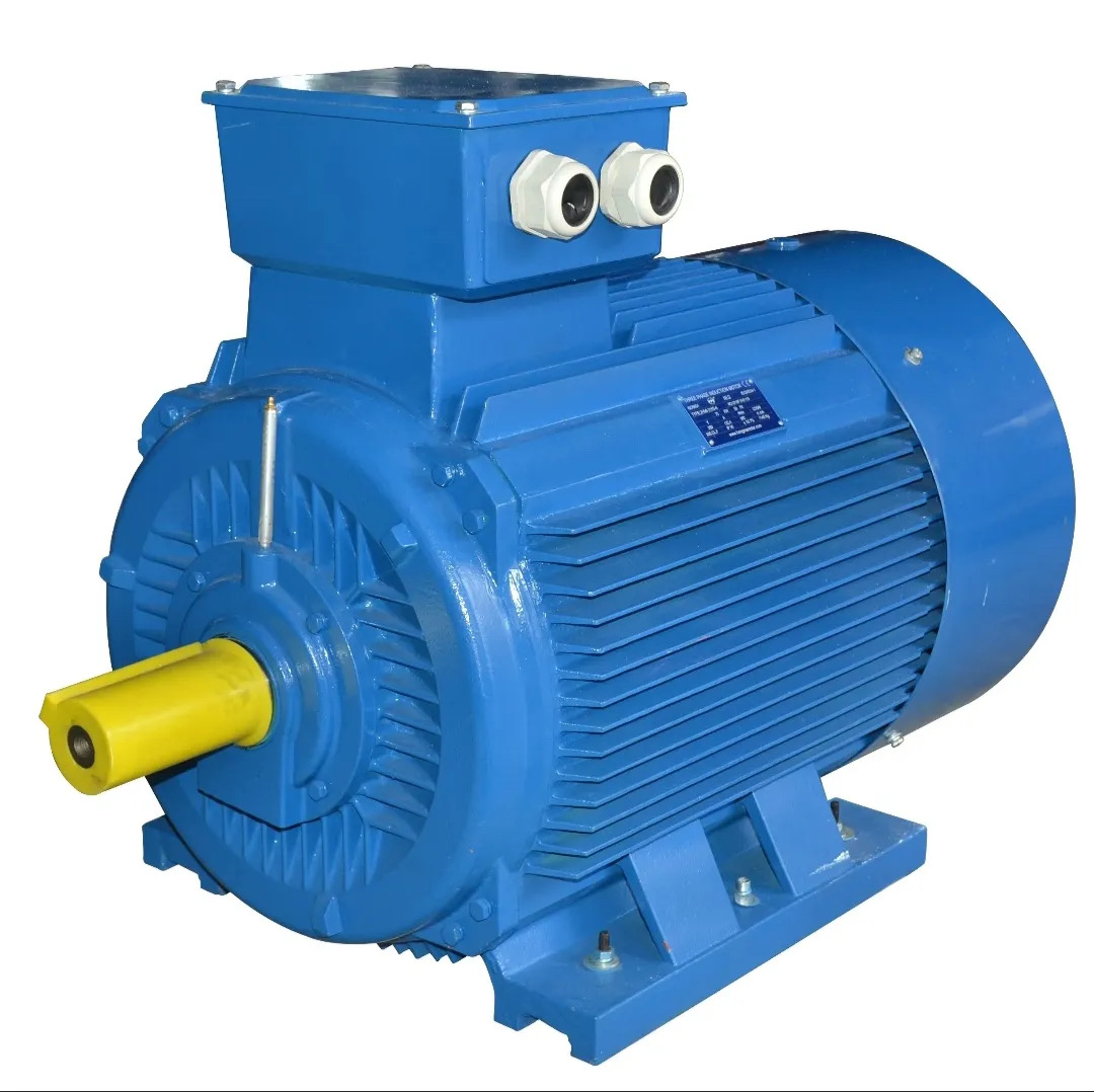 Highest Premium Efficiency Asynchronous Electric Motor